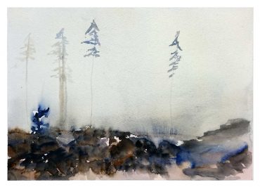 natur 14, såld
